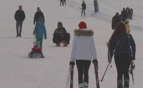 Pulur bûye cihê geştiyariya zivistanê