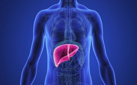 Karaciğeri tüketen alışkanlıklar