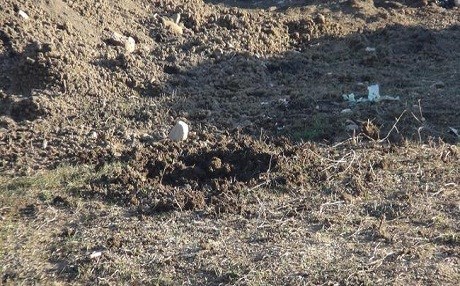 Yüksekova'da cisim patladı