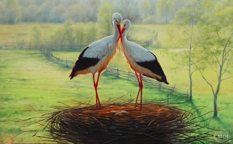 Leylek 16 yıldır felçli eşini terketmedi