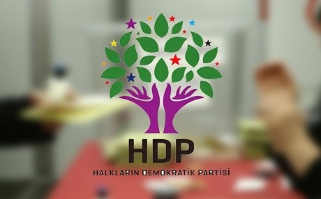 HDP ji bernamzetên jin, ciwan û astengdar pere wenagire