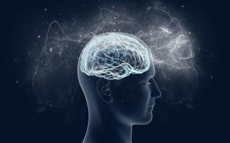 Zeka nöronlar arasında bağlantıyı azaltıyor