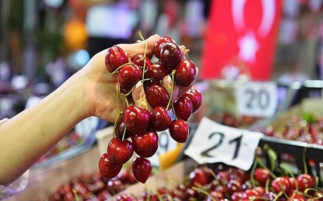 Mardin'de kiraz festivali