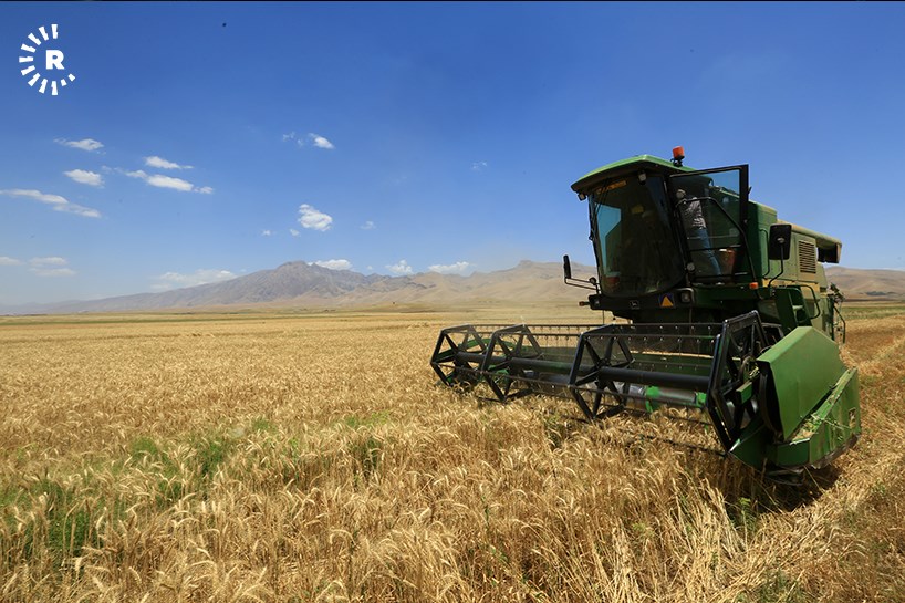 WÊNE – Li Silêmaniyê dema dirûna genim