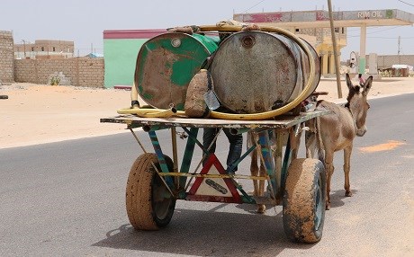 Halk su için eşek "Mercedes"i bekliyor