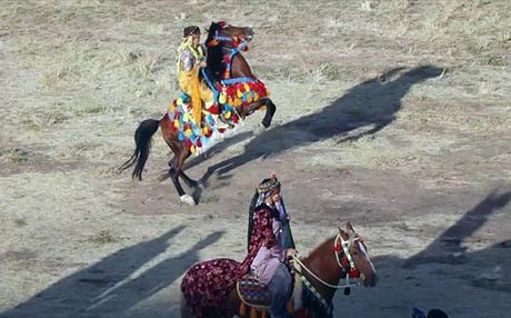 فێستیڤاڵی ئەسپی کوردی لە سنە بەڕێوەچوو