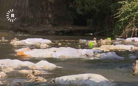 زیاتر لە هەزار مریشکی مردارەوەبوو فڕێدەدرێتە چەمی زەڵم