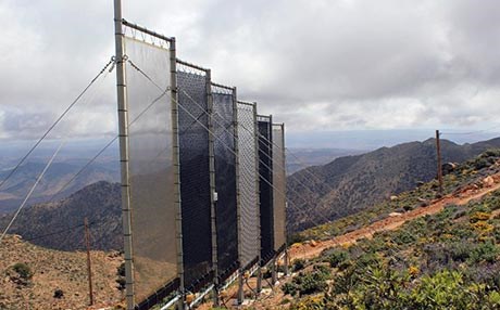 جووتیارانی چیللی بۆ بارانبارین بە تۆڕ تەم و هەور کۆدەکەنەوە