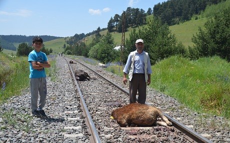 Trên ket nav garanê: 20 dewar mirar bûn