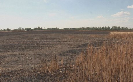 گۆڕانی کەشوهەوا بەرهەمی کشتوکاڵی لە ئەڵمانیا کەمکردووەتەوە