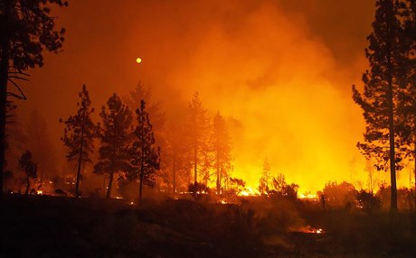 Yangınlar 50 bin kişiyi evinden etti