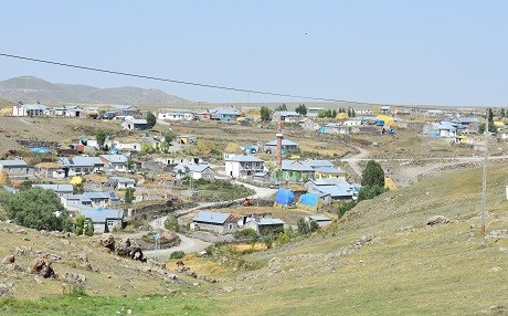 Rovî nexweşiya harbûnê berda gund