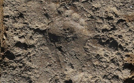 Van’da 3 bin yıllık ayak izine rastlandı