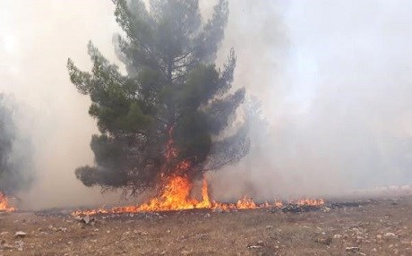 Göbeklitepe çevresinde korkutan yangın