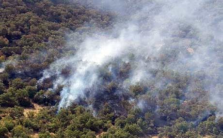 ئاگر لە دارستانەکانی مەریوان کەوتەوە: چوار ژینگەپارێز گیانیان لەدەستدا