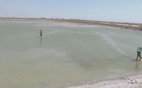 بەرزبوونەوەی رێژەی خوێ لە ئاوی بەسرە ئاستێکی مەترسیدار تۆماردەکات