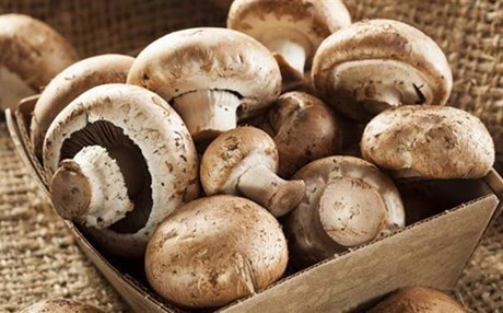 Kivark metirsiya tûşbûna nexweşiya şekir kêm dike