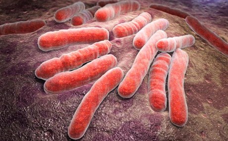 نەوەیەکی نوێی دەرمانی دژە سیل درووستدەکرێ