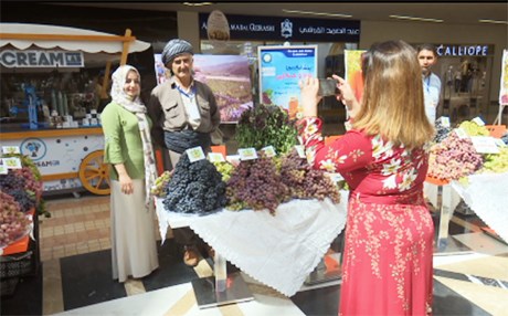 لە دهۆک فێستیڤاڵی ساڵانەی ترێ و هەنگوین بەڕێوەچوو