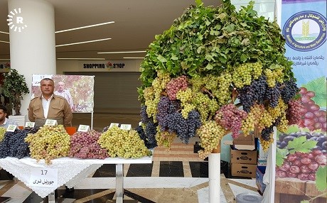 Fotoğraflarla Duhok’ta Üzüm ve Bal Festivali