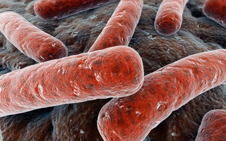 ساڵی رابردوو 10 ملیۆن کەس تووشی سیل بوون