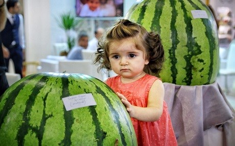 Festîvala zebeşên Amedê hate betalkirin