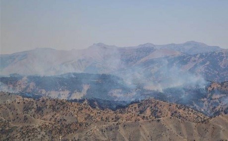 Şewata daristanên Çiyayê Cûdî berdewam e