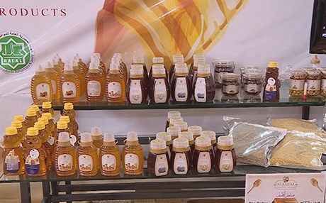 Erbil, 'Arap ve Afrika Arıcılar Kongresi'ne ev sahipliği yapacak