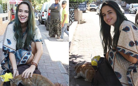 Antep sokaklarının kedileri İtalyan Lucato'ya emanet