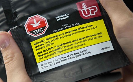 کەنەدا کێشانی گیای هۆشبەری "ماریوانا" ئازاددەکات