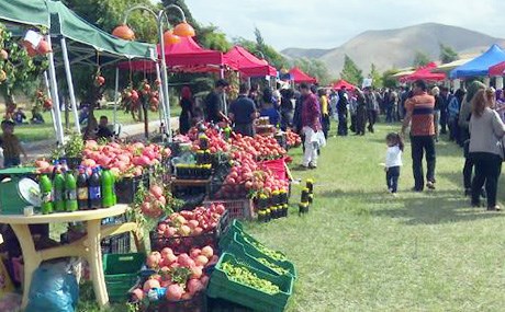 فێستیڤاڵی هەنار لە هەڵەبجە بەڕێوەچوو