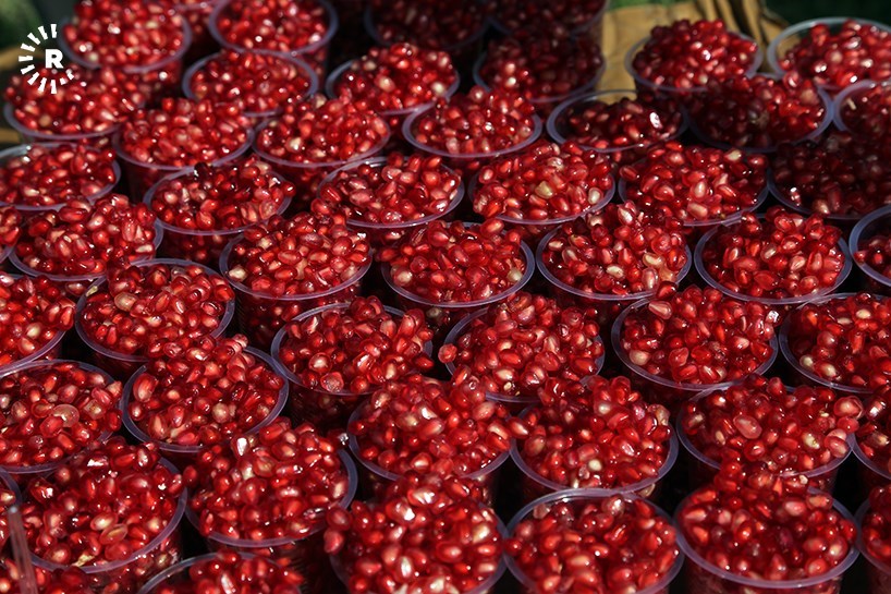 Halabja boasts juicy pomegranates as harvesting begins