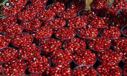 Halabja boasts juicy pomegranates as harvesting begins