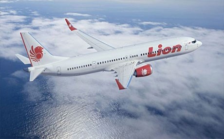 188 yolcu taşıyan uçak denize düştü