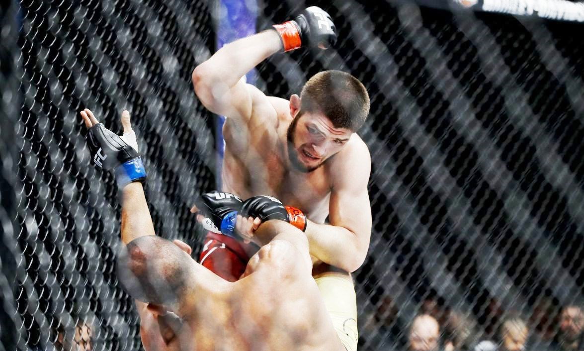 حه‌بیب نوراماكۆمیدوڤ: من شه‌ڕ له‌گه‌ڵ ورچ ده‌كه‌م