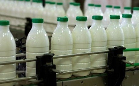 Nirxê şîr û berhemên şîremeniyê li Îranê 3 qat giran bûye