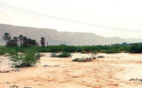 Suudi Arabistan'da şiddetli yağışlar 5 can aldı