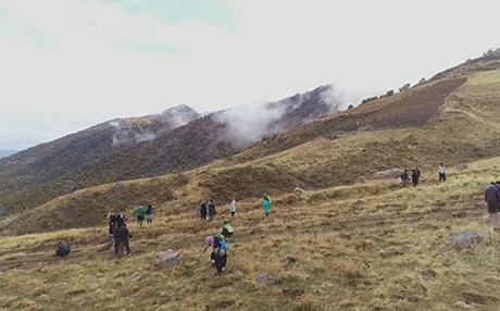 ژینگەپارێزانی بانە: دارستانەکانی زاگرۆس خەریکە لەنێودەچن