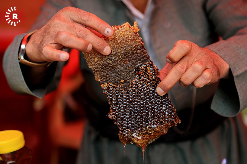 فێستیڤاڵی هەنگ و هەنگوین لە سلێمانی