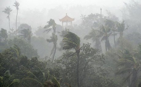 HİNDİSTAN - Kasırga 40 can aldı