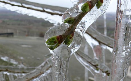 5 Kürt ili için buzlanma uyarısı