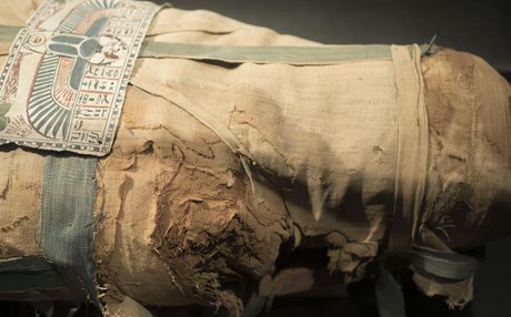 3 bin yıl öncesine ait 8 mumya bulundu