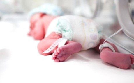 Genleriyle oynanmış ilk bebekler dünyaya geldi