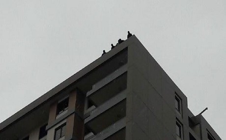 İşçiler 18.kattan intihara kalkıştı
