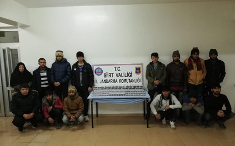 Siirt'te 14 düzensiz göçmen yakalandı