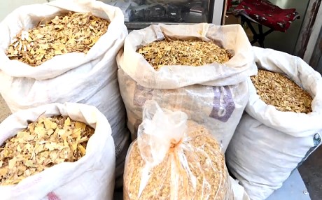 Salane 20 hezar ton tûtin li Merîwanê tê berhemanîn