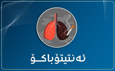 ئەمڕۆ بەشداربووانی پرۆژەی ئەنتیتۆباکۆ خەڵاتدەکرێن