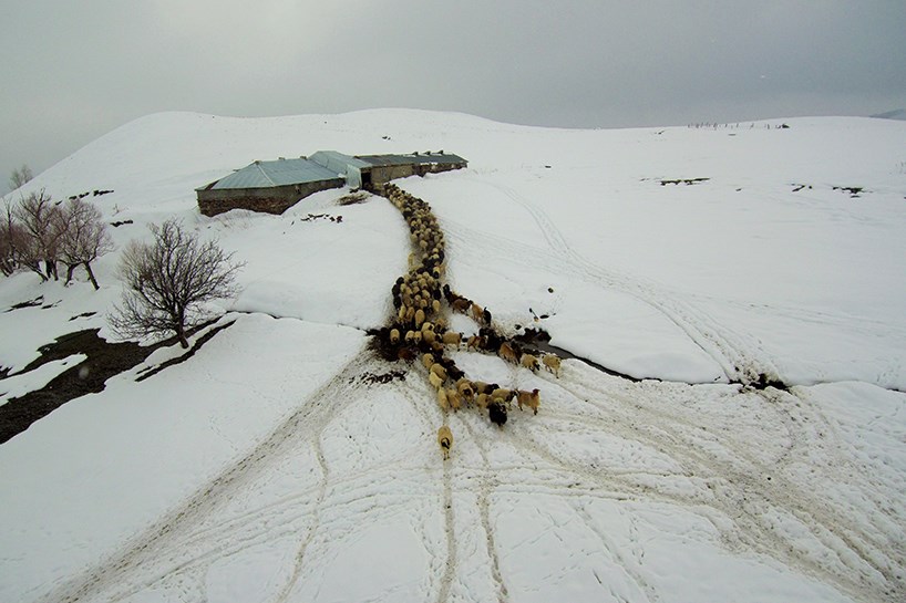 WÊNE - Zivistan li Bakurê Kurdistanê