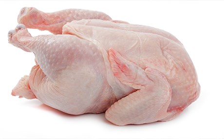 ٥٢%ی مریشكەکانی ئەڵمانیا بە بەکتریا ژەهراویبوون