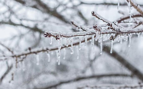 Meteorolojiden Kürt illeri uyarısı